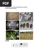 Introducao_a_Arqueobotanica.pdf