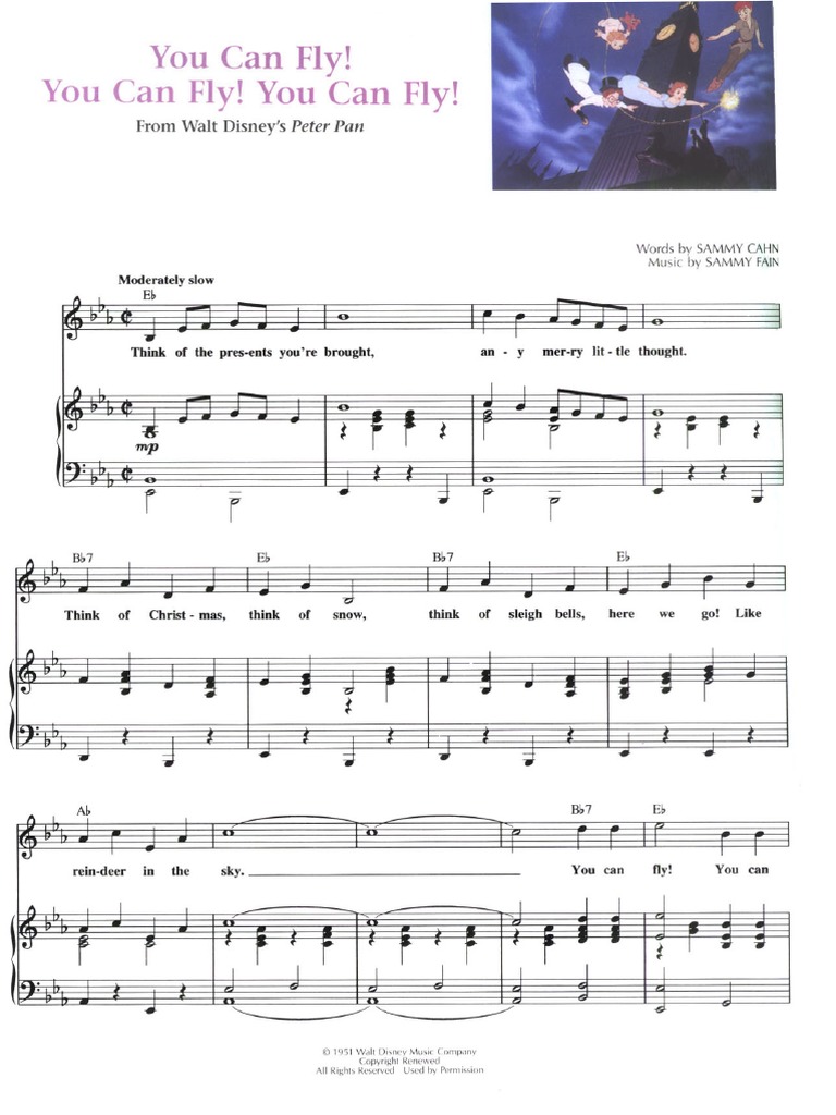 You Can Fly | PDF