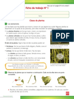 Clases de plantas silvestres y cultivadas