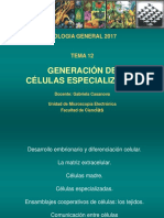 Teórico 12 - Generación de Células Especializadas (2017)