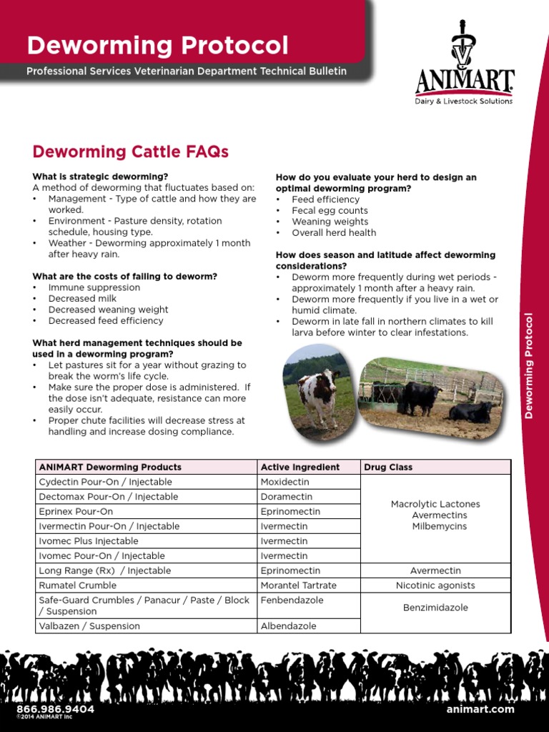 deworming-protocol-calf-cattle