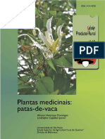 Plantas Medicinais - Pata de Vaca