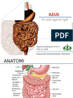 Ileus Final