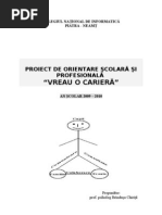 Proiect - Cariera Intre Vis Si Realitate