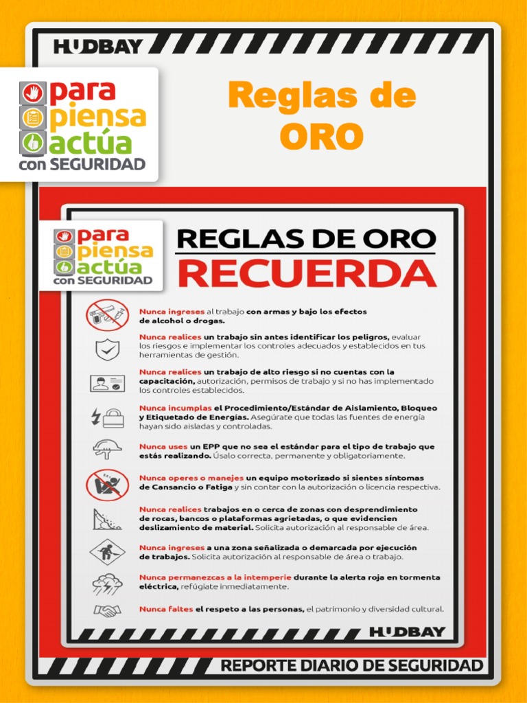 Reglas de Oro para Seguridad Laboral | PDF | Sicología | Science