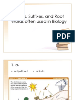 Prefixes Suffixes and Root Words Often