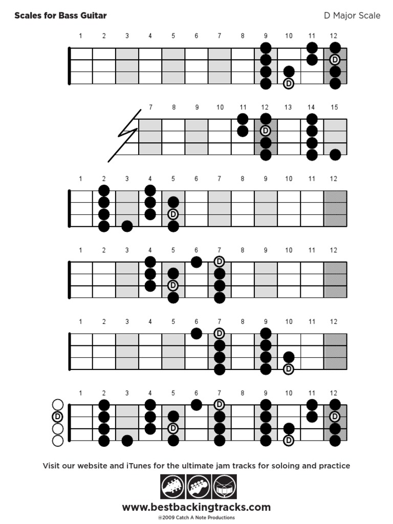 Bass Guitar D Major Scale Guide | PDF | Home & Garden