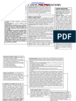 Esquema Del Proceso Penal