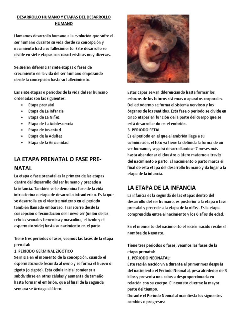 Siete etapas del desarrollo humano | PDF | Adultos | Vejez
