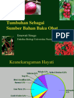 Kuliah Etno Erna 1 Tumbuhan Sebagai Bahan Baku Obat Utk Blog 1