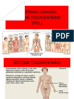 Piel 2018 PDF