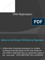 06DNAReplicationFall17.ppt