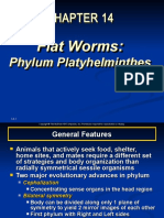 ch14Platyhelminthes