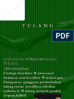 Tulang 07