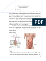 LP Diare Revisi 1