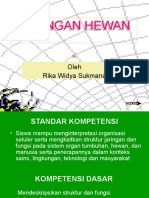 Jaringan Hewan