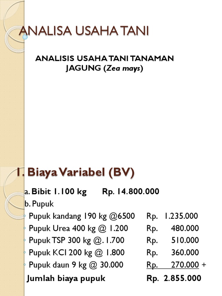 Contoh Soal Pendidikan Contoh Analisis Usaha