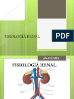 Anatomia y Fisiologia Del Sistema Renal