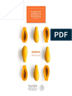 Potencial-Papaya.pdf
