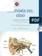 Anatomía del oído: Estructuras y funciones