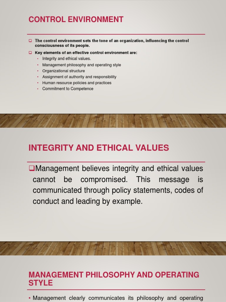 Control Environment PDF