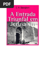 A Entrada Triunfal Em Jerusalem