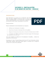 manual_oracle.pdf