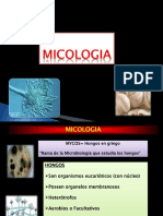 Micologia