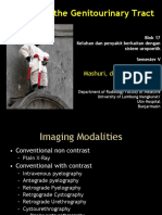 Imaging of The Genitourinary Tract: Mashuri, DR.,SP - Rad.,M.Kes