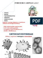 CURS 3. Viroze respiratorii.pdf