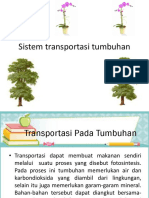Sistem Transportasi Tumbuhan