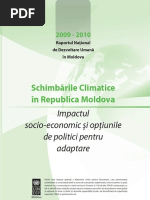 Raport Anual Rom 2009