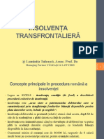 Insolventa Transfrontaliera