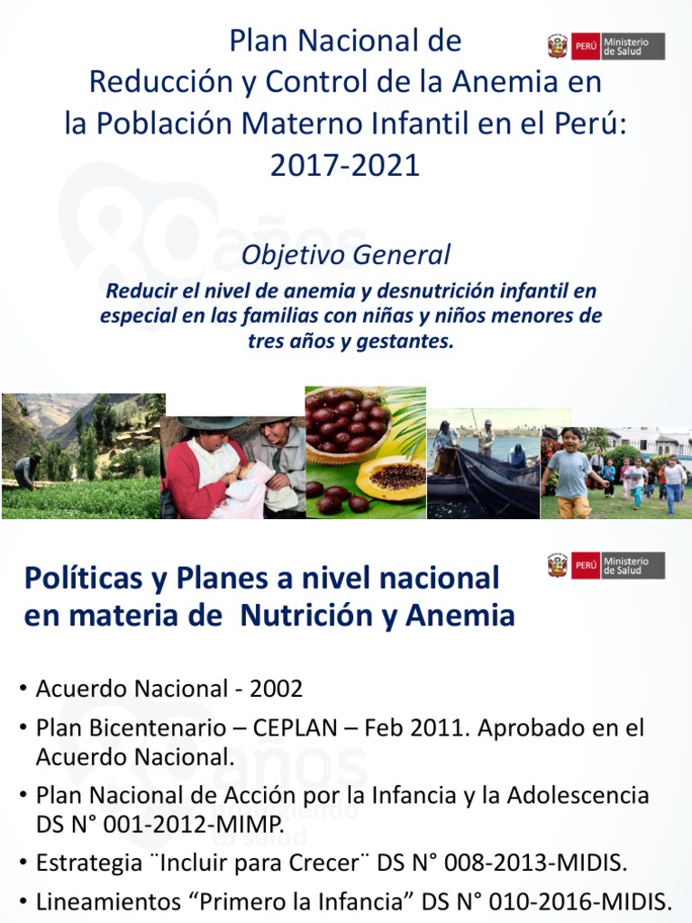 1 Plan Nacional - Reducción y Control de La Anemia | PDF | Alimentos ...