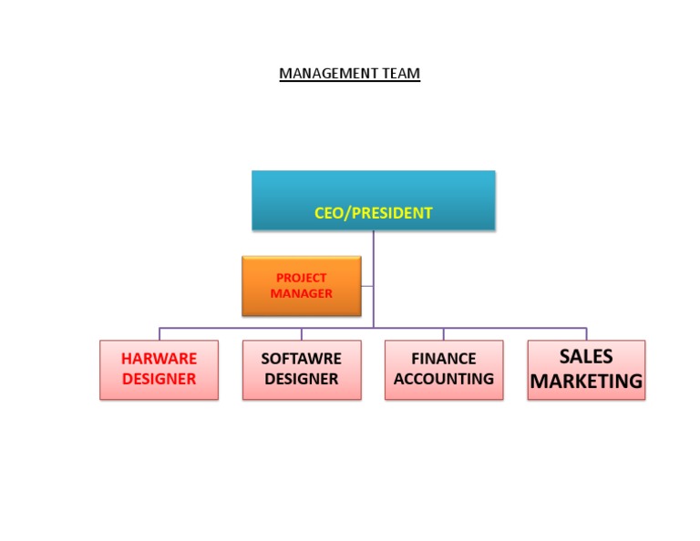 Management Team Structure Overview | PDF