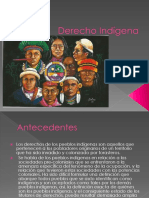 Derecho_Indigena.pptx
