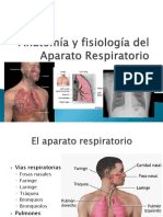 aparato_respiratorio psicosomatica