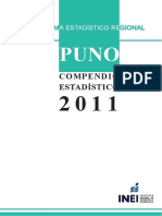 puno estadisticas 2011.pdf