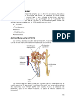 Fisiologia renal.doc
