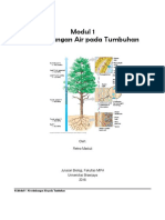 Modul Keseimbangan Air Pada Tumbuhan PDF