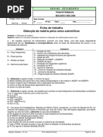 Ficha trabalho Fotossíntese