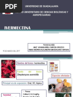 IVERMECTINA intoxicacion en perros