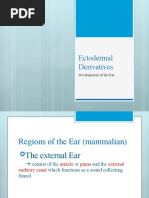 Download 4 Development of the Ear by Bryan Berayon Atas SN37207532 doc pdf