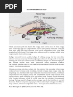 Sistem Pencernaan Ikan