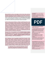 Pibid - Fundamentação Teorica R.P.