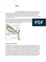 Topic: Cholecystitis: Introduction