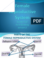 Female Reproductive System.pptx