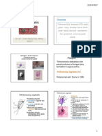 Trichomoniasis (Compatibility Mode)