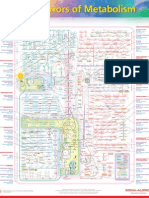 Inoborn Errors of Metabolism Chart FINAL