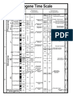 Neogene Timescale